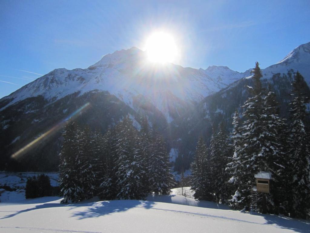 Haus Mattle Daire Pettneu am Arlberg Dış mekan fotoğraf