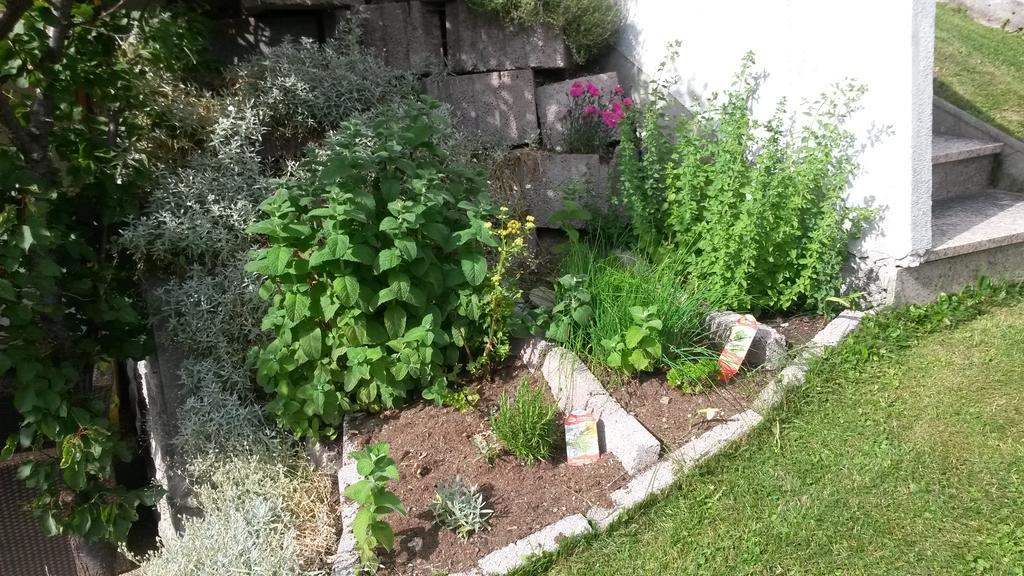 Haus Mattle Daire Pettneu am Arlberg Dış mekan fotoğraf
