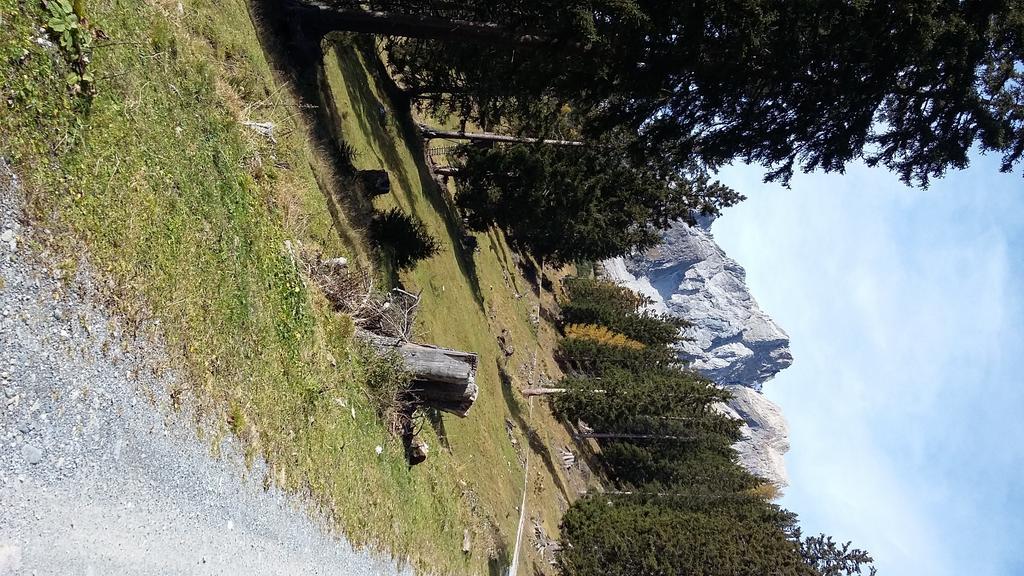Haus Mattle Daire Pettneu am Arlberg Dış mekan fotoğraf